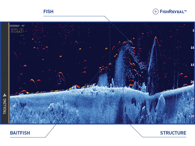 LOW NTF Sonar v2.png